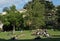 Crowd of people enjoying hot summer day in a park, reading, relaxing