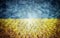 Crowd of people on Ukraine flag. Ukrainian society