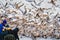 A crowd of people at White Rock looking at the natural phenomena of thousands of dead anchovies being eaten by wildlife.