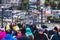 A crowd of people at White Rock looking at the natural phenomena of thousands of dead anchovies being eaten by wildlife.