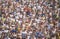 Crowd of runners, marathon, Washington, D.C.