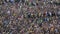 Crowd of soccer fans raising hands