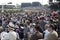 Crowd Watches the Kentucky Derby Race