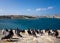 Crowd on the waterfront. Pigeons. Valletta. Birgu. Kalkara. Bormla. the island of Malta.