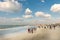 Crowded beach of Jumeirah Marina on sunny day, Dubai.