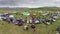 Crowded People Gather for Mongolia`s Traditional National Holiday Naadam Festival