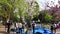Crowded Ueno park, Japanese people at hanami cherry blossom festival