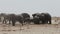 Crowded waterhole with Elephants, zebras, springbok and orix.