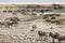 Crowded Waterhole in Namibia