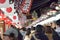 Crowds lined up to visit Asakusa temples in Tokyo, Japan