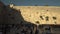 Crowds Pray at the Wailing Wall in Jerusalem