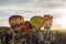 Crowds Watching Hot Air Balloons, Reno Balloon Race 2019