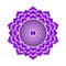 The Crown Chakra