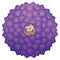 Crown Chakra Aum Symbol Lotus Sahasraha