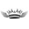 Crown. Cool emblem for rock festival, tee, tattoo. King, queen, princess.