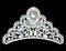 crown diadem tiara women with glittering precious s
