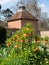 Crown imperial flowers, also known as Fritillaria Imperialis. Photographed in early April at Eastcote House, London UK.