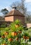 Crown imperial flowers, also known as Fritillaria Imperialis. Photographed in early April at Eastcote House, London UK.