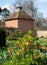 Crown imperial flowers, also known as Fritillaria Imperialis. Photographed in early April at Eastcote House, London UK.