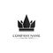 Crown Logo king logo queen logo, princess, Template vector icon illustration design imperial, royal, and  succes logo business