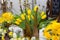 Crown shaped vase with yellow tulips
