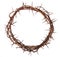 Crown of thorns