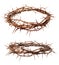 Crown of thorns