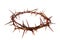 Crown of thorns