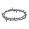 Crown of thorns, biblical wreath of thorns, symbol of crucifixion