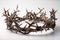 Crown of Thorns Easter on white background with shadow worn by Jesus Christ is a powerful symbol of his suffering and sacrifice.