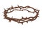 Crown of Thorns Isolated