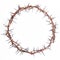 Crown of thorns Jesus Christ