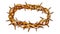 Crown Of Thorns Jesus Christ Color Vector