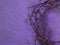 Crown of thorns on purple background