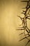 Crown Of Thorns Represents Jesus Crucifixion on Good Friday