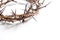 A crown of thorns on a white background - Easter. religion.