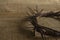 Crown of thorns on wooden background with copy space. Easter religious motive commemorating the resurrection of Jesus
