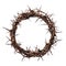 Crown of Thorns worn by Jesus Christ Easter is a powerful symbol of his suffering and sacrifice isolated Transparent png thorny