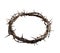 Crown of Thorns worn by Jesus Christ is a powerful easter symbol of his suffering and sacrifice isolated Transparent png thorny