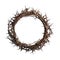 Crown of Thorns worn by Jesus Christ is a powerful symbol of his suffering and sacrifice Easter isolated Transparent png thorny