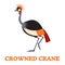 Crowned Crane Line Art Icon