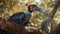 A Crowned Hornbill watches alertly Generative AI, Generative, AI