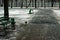 Crows rides out of a trash can on the street in winter