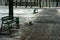 Crows rides out of a trash can on the street in winter