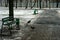 Crows rides out of a trash can on the street in winter