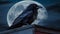 Crows on the roof of a building, lurking, full moon in the background