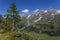 Crude mountain landscape - Alps