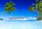 Cruise Beach Palm Tree Summer Vacation Concept