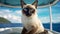 Cruise Companionship: Siamese Cat on a Seafaring Adventure