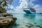Cruise liner at dock in Caribbean style